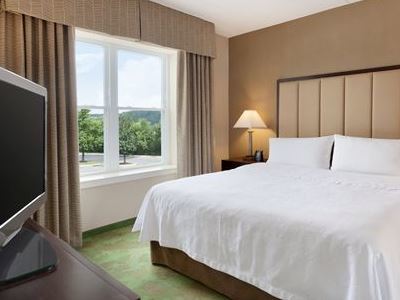 Homewood Harrisburg-west Hershey Area Hotel 3*